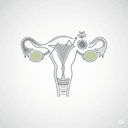 Fertility Assessment